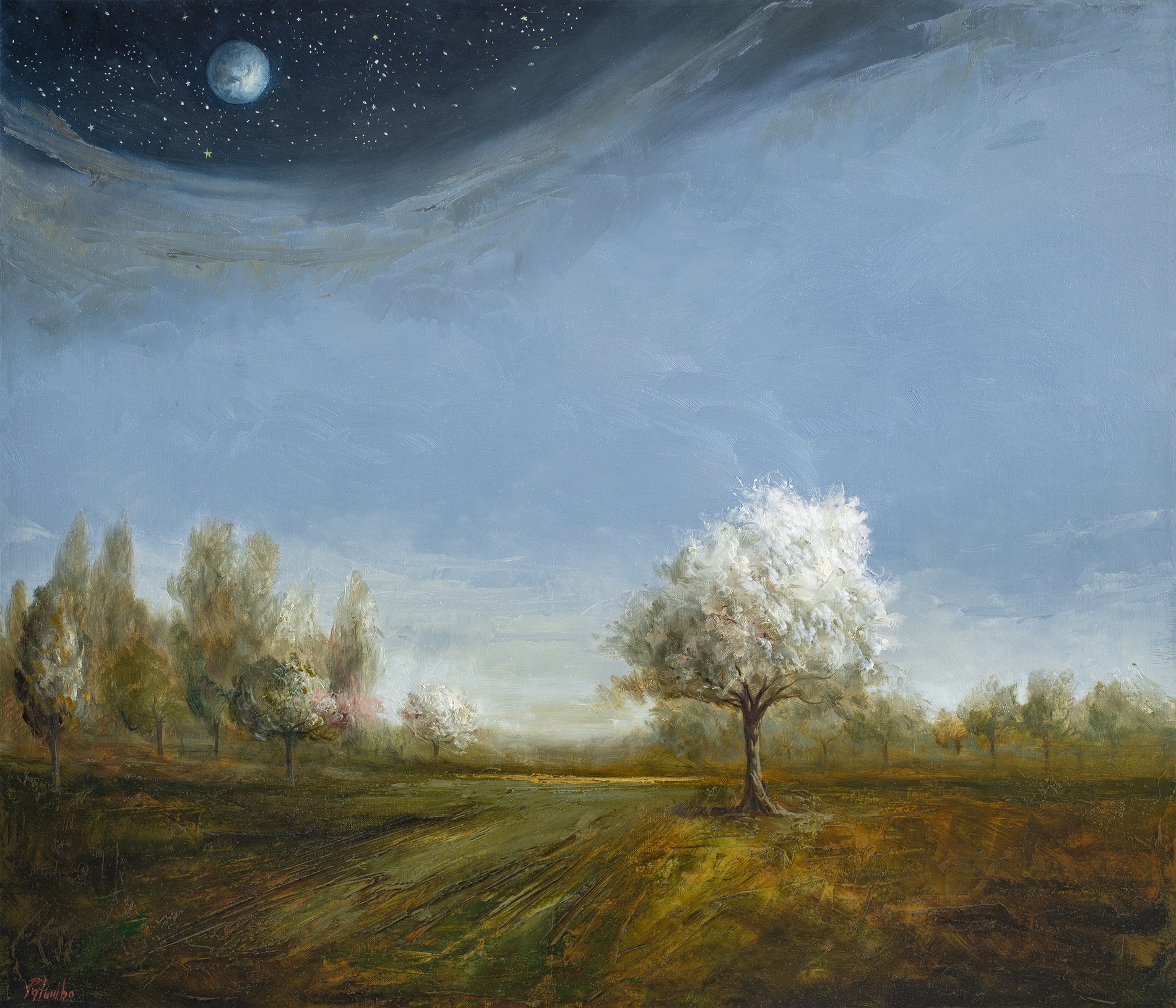 Tra il giorno e la notte